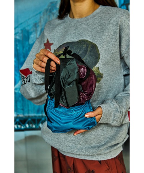 AlexanderLeeChang（アレキサンダーリーチャン）の「AlexanderLeeChang/アレキサンダーリーチャン 5050 POCKETABLE DAYPAC（バックパック/リュック・メンズ・グレー/ブルー/ネイビー・ONE SIZE）」の11枚目の写真