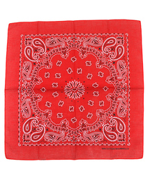 WEGO | WEGO/バンダナ(バンダナ/スカーフ)