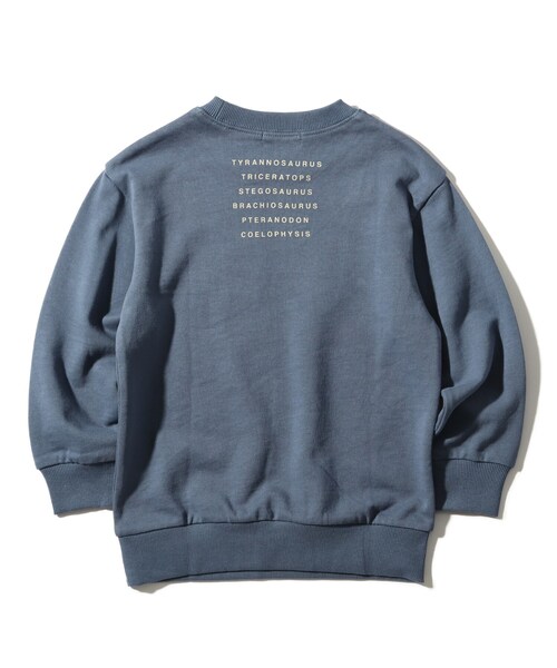 THE SHOP TK （ザ ショップ ティーケー ）の「◆【140cmまで】恐竜プリントウラケプルオーバー（スウェット・キッズ・ブラック/ベージュ/カーキ/ブルー・11/10/12/14/13）」の14枚目の写真