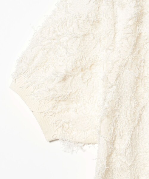 Ray BEAMS(レイビームス)の「フリンジ ハーフスリーブ トップス(ニット/セーター・レディース・オフホワイト/ブラック・ONE SIZE)」の20枚目の写真