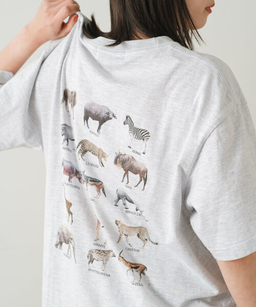 WHIMSIC（ウィムジック）の「*【WHIMSIC】スーベニアTシャツ（Tシャツ/カットソー・レディース・ライトグレー/ホワイト/ブラック/ベージュ・FREE）」の3枚目の写真