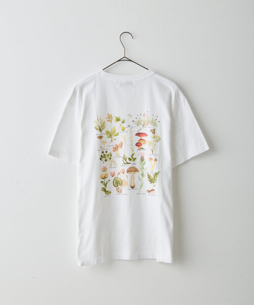 トラペジウム　Tシャツ YB ドライコットンタッチ Tシャツ | APPAREL | YAMAGA Blanks
