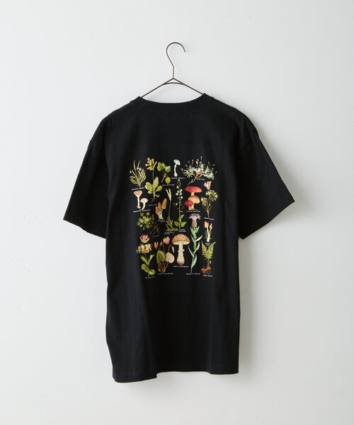 WHIMSIC（ウィムジック）の「*【WHIMSIC】スーベニアTシャツ（Tシャツ/カットソー・レディース・ライトグレー/ホワイト/ブラック/ベージュ・FREE）」の7枚目の写真