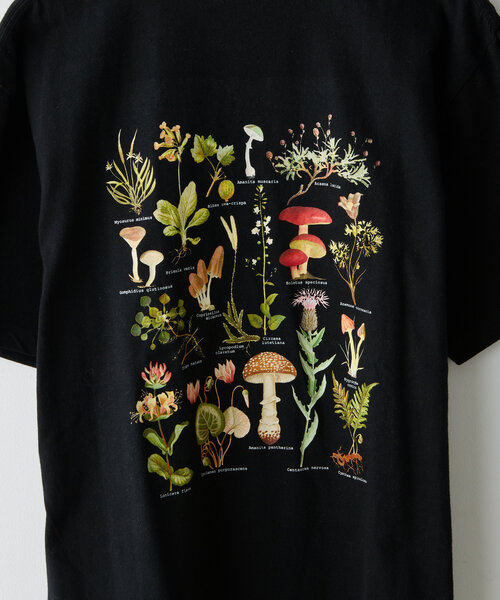 WHIMSIC（ウィムジック）の「*【WHIMSIC】スーベニアTシャツ（Tシャツ/カットソー・レディース・ライトグレー/ホワイト/ブラック/ベージュ・FREE）」の9枚目の写真