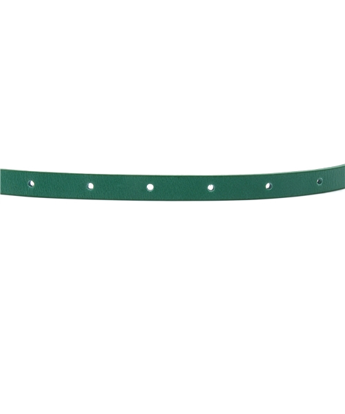 LOUNGEDRESS（ラウンジドレス）の「パイソンコンビベルト（ベルト・レディース・グリーン/イエロー・ﾌﾘ-）」の5枚目の写真