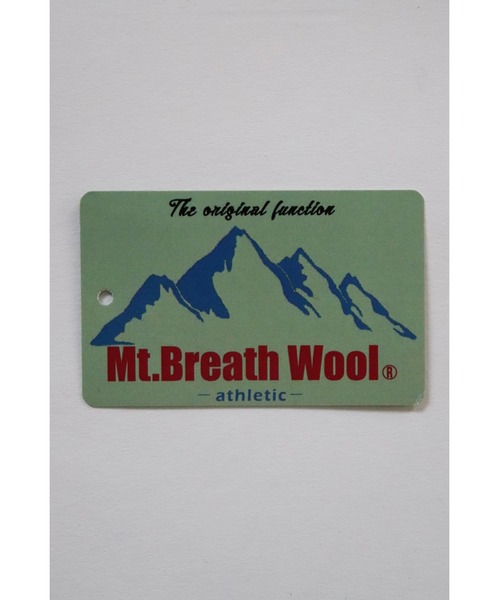 AlexanderLeeChang（アレキサンダーリーチャン）の「AlexanderLeeChang/アレキサンダーリーチャン MERINO WOOL BIG LT（ニット/セーター・メンズ・チャコール/キャメル/ネイビー・2/3）」の14枚目の写真