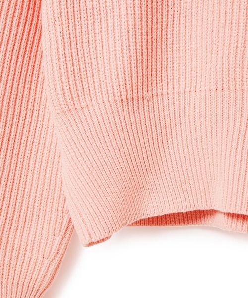 ADAM ET ROPE'（アダムエロペ）の「コンパクト畦ニットプルオーバー（ニット/セーター・レディース・ホワイト/ライトグリーン/レッド系その他/ピンク系その他2・FREE）」の13枚目の写真