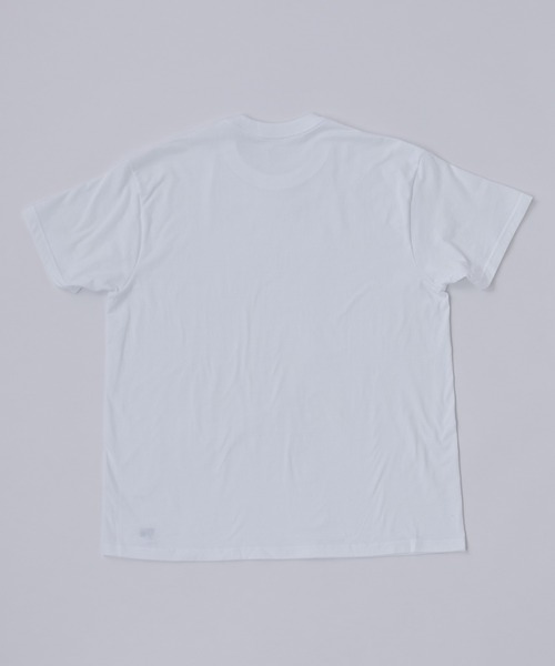 GUNZE（グンゼ）の「【GUNZE×TYPY】Pack-T 2PクルーネックT（Tシャツ/カットソー・メンズ・ホワイト・S/M/L/XL）」の4枚目の写真