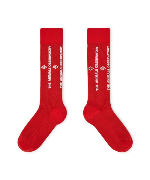 The animals observatory（ジ・アニマルズ・オブザーバトリー）の「The Animals Observatory / ロゴソックス（ソックス/靴下・キッズ・レッド/ダークブルー/イエロー/ブルー・19-21cm/17-19cm/14-16cm）」の4枚目の写真