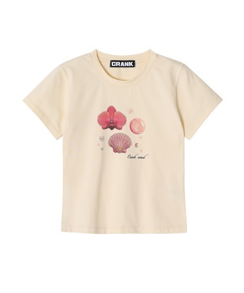 crank POPUP Tシャツ セール】SHELL PRINTING TOP（Tシャツ/カットソー）｜CRANK