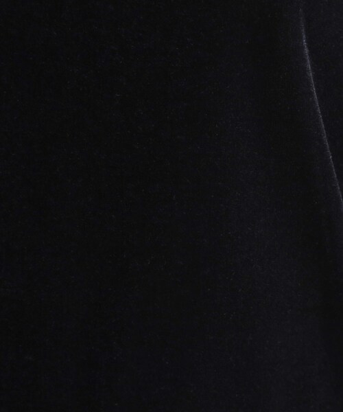 INDIVI（インディヴィ）の「◆【洗える】コンパクトベロアカットソー（Tシャツ/カットソー・レディース・ライトグレー/ブラック/オフホワイト・40/38/19/15 /13/05）」の11枚目の写真