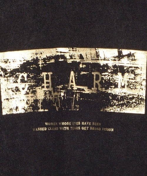SILVER BULLET（シルバーバレット）の「『CavariA/キャバリア』スノーウォッシュ加工箔プリント半袖TEE（Tシャツ/カットソー・メンズ・C/B/A・L/M）」の17枚目の写真