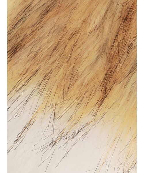 EVRIS（エヴリス）の「BIGフェイクファーしっぽチャーム（キーケース/キーアクセサリー・レディース・その他1・FREE）」の9枚目の写真