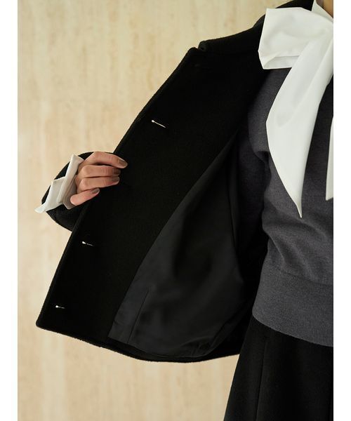 ステンカラーメタルボタンジャケット（ブルゾン）｜SNIDEL（スナイデル