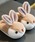 BACKYARD FAMILY�i�o�b�N���[�h�t�@�~���[�j�́u�ӂ�ӂ� �E�T�M ���[���V���[�Y yssaki001�i���[���V���[�Y/�X���b�p�j�v�b�u���E��