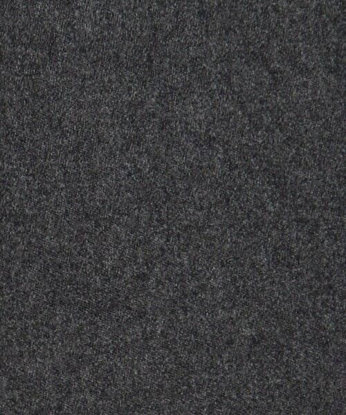 PT TORINO（ピーティートリノ）の「PT TORINO ウール 1プリーツスリムスラックス Gentleman Fit（スラックス・メンズ・ブラック/チャコールグレー・48/50）」の6枚目の写真