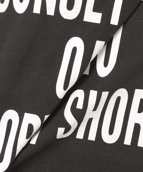 JOURNAL STANDARD(ジャーナルスタンダード)の「シアーロゴロンT(Tシャツ/カットソー・レディース・チャコールグレー/ホワイト・FREE)」の20枚目の写真