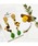 tone�i�g�[���j�́u�yeto�z�h�t���~���S �s�A�X(MA)�i�s�A�X�i�����p�j�j�v�b���̑�1