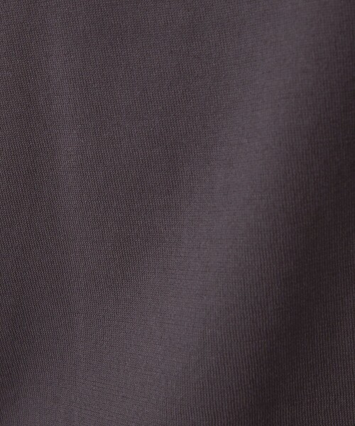 green label relaxing(グリーンレーベルリラクシング)の「クリア コットン テンジク モックネックT 半袖 ニット(ニット/セーター・メンズ・ライトグレー/ライトブルー/ダークグレー・XL/L/M/S)」の18枚目の写真