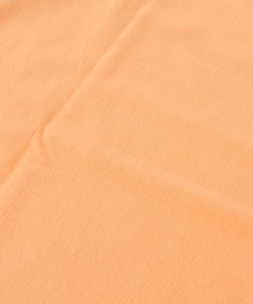 Green　Parks（グリーンパークス）の「カシミヤライクカラーストール（ストール/ショール・レディース・ライトグレー/ホワイト系その他2/オレンジ・FREE）」の10枚目の写真