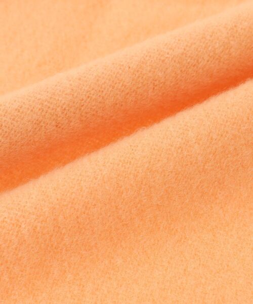 Green　Parks（グリーンパークス）の「カシミヤライクカラーストール（ストール/ショール・レディース・ライトグレー/ホワイト系その他2/オレンジ・FREE）」の11枚目の写真
