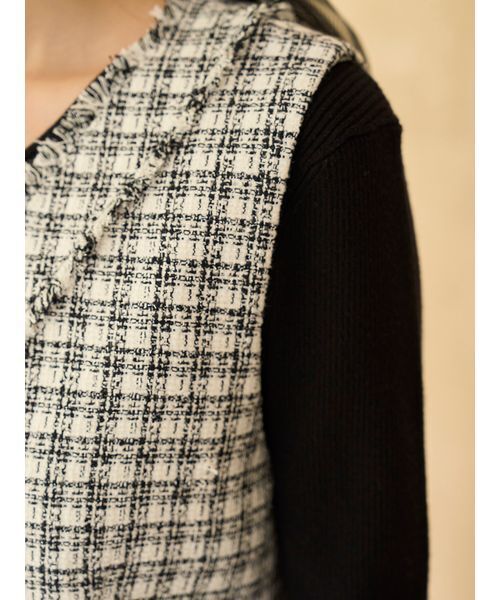 SNIDEL（スナイデル）の「ツイードジレ（その他アウター・レディース・ブラック/アイボリー/ブルー・F）」の21枚目の写真
