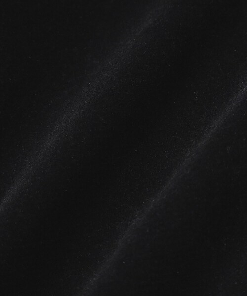 OPAQUE.CLIP(オペークドットクリップ)の「フロッキーチュールトップス【洗濯機OK】(Tシャツ/カットソー・レディース・オフホワイト/チャコールグレー/ブラック/ボルドー・38/40/42)」の16枚目の写真