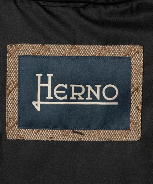 HERNO（ヘルノ）の「＜HERNO＞スタンドカラー ダウンジャケット（ダウンジャケット/コート・メンズ・ブラック・46/48/50）」の15枚目の写真