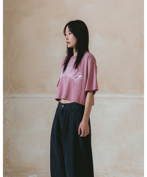 ANGLAN（アングラン）の「[AG.W] Applique Crop Half Tee - Pink（Tシャツ/カットソー・レディース・その他・ONE SIZE）」の2枚目の写真