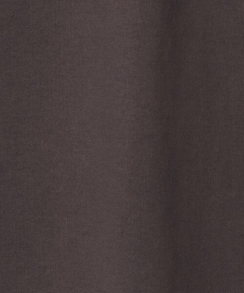 green label relaxing（グリーンレーベルリラクシング）の「アソートグラフィック ショートスリーブ TEE（Tシャツ/カットソー・レディース・その他2/その他1/ダークグレー・FREE）」の14枚目の写真