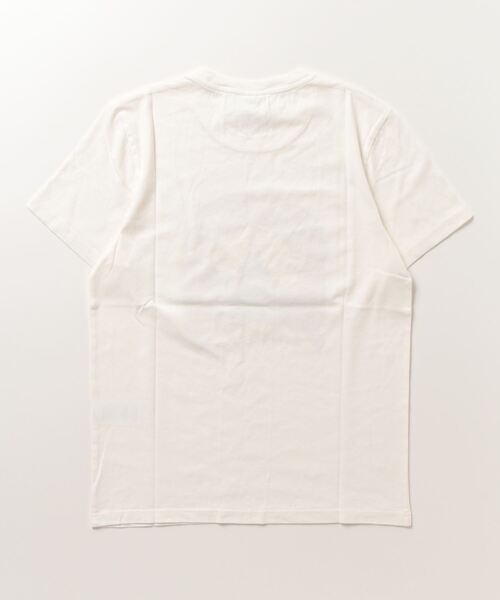 Nudie Jeans（ヌーディージーンズ）の「Roy Every Mountain Tシャツ（Tシャツ/カットソー・メンズ・ホワイト/ブラウン・LARGE/MEDIUM/X-SMALL/SMALL）」の15枚目の写真