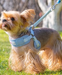 aimoha(ACn)̃[htybgn[lX([h/n[lX/)