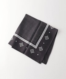 STEVEN ALAN REGAGLIA シルクスカーフ REGAGLIA＞ SLK SCARF/スカーフ（バンダナ/スカーフ）｜Steven