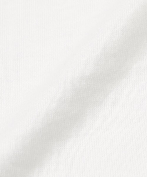 BLACK LABEL CRESTBRIDGE(ブラックレーベル・クレストブリッジ)の「【WEB限定】ガーズマンワッペンスラブTシャツ(Tシャツ/カットソー・メンズ・ブラック/グリーン系その他7/オフホワイト/ピンク系その他2・XL/L/M)」の9枚目の写真