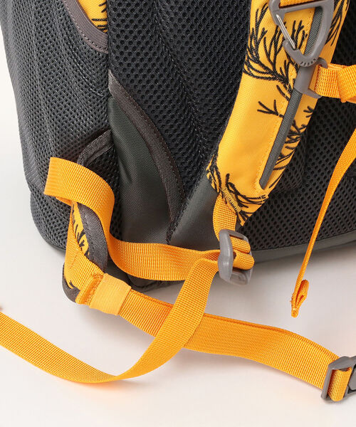 La Sportiva 荒っぽ A.T.30 アウトドアリュック 黒と黄色