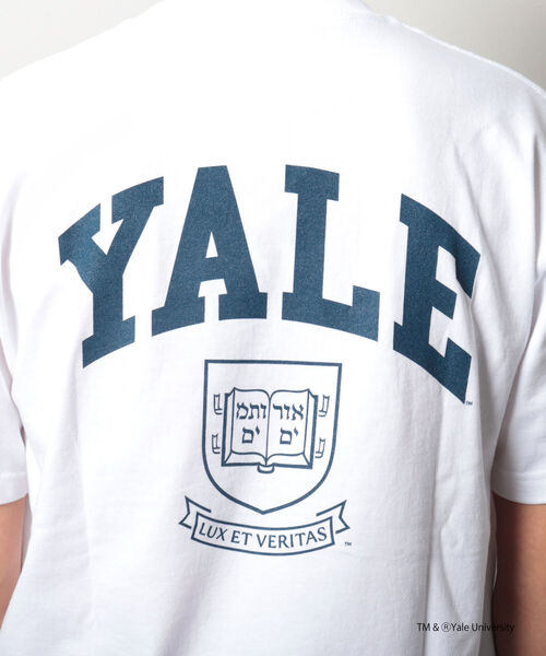 NOLLEY'S goodman（ノーリーズグッドマン）の「【WEB限定】YALE / UCLA カレッジ プリント ビッグシルエット Tシャツ（Tシャツ/カットソー・メンズ・ホワイト×ネイビー/チャコールグレー/ホワイト系その他2/ホワイト×ブラック/ホワイト系その他・LARGE/MEDIUM）」の8枚目の写真
