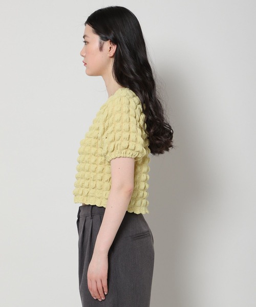 ALAND（エーランド）の「3.3 Field Trip／エンボスクロップT　2285579（Tシャツ/カットソー・レディース・ブラック/イエロー/アイボリー/セージグリーン・FREE）」の15枚目の写真