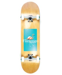 HLNA(GC`GGkG[)́yFlamingo SkateboardszFLAMINGO COMPLETE(X|[cObY)