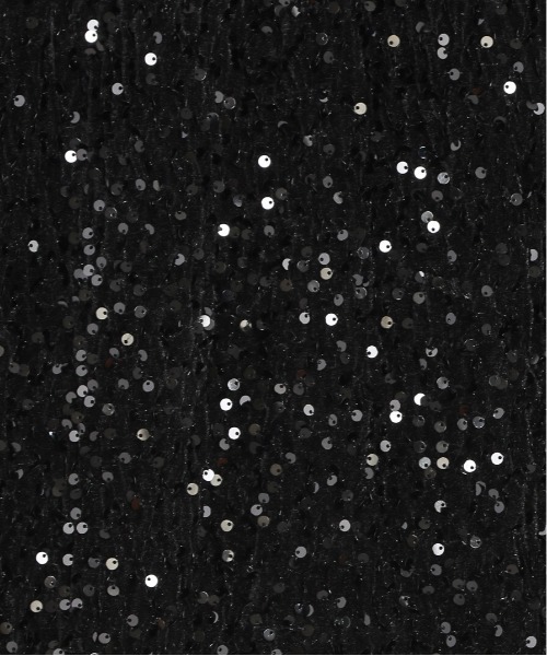 AMELY（エミリー）の「スパンコールロングスカート（スカート・レディース・グレー/ブラック・フリー）」の19枚目の写真