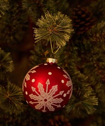 niko and...(jRAh)́y2024XmaszbhXm[I[ig(CeAG)