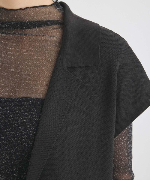 Edit Sheen（エディットシーン）の「ラメシアーメロウハイネック（Tシャツ/カットソー・レディース・ダークグレー/ホワイト/ブラック/アイボリー・M）」の9枚目の写真