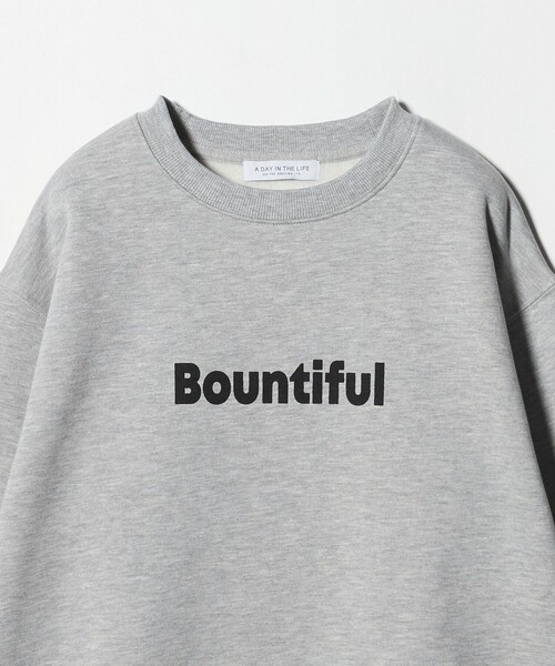 A DAY IN THE LIFE UNITED ARROWS(アデイインザライフユナイテッドアローズ)の「裏起毛 ロゴスウェット <A DAY IN THE LIFE>(スウェット・レディース・ライトピンク/ダークブラウン/ライトグレー/ネイビー・FREE)」の20枚目の写真