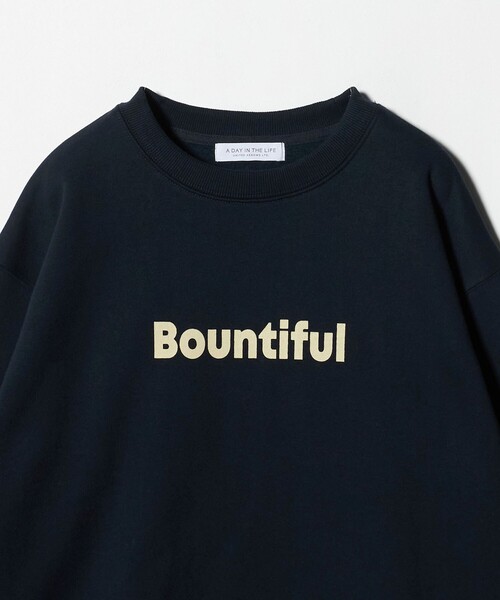 A DAY IN THE LIFE UNITED ARROWS(アデイインザライフユナイテッドアローズ)の「裏起毛 ロゴスウェット <A DAY IN THE LIFE>(スウェット・レディース・ライトピンク/ダークブラウン/ライトグレー/ネイビー・FREE)」の8枚目の写真