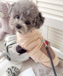 Dalfwin（ダールフィン）の「ペットウェア SPORTSラベル付き中綿ダウン（ペットウェア）」