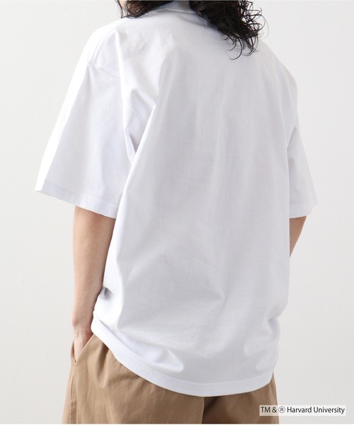 HARVARD（ハーバード）の「HARVARD OPEN END RUGGED T-SHIRT（Tシャツ/カットソー・メンズ・ホワイト・M/XL/L）」の6枚目の写真