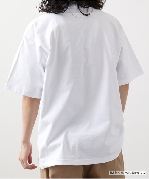 HARVARD（ハーバード）の「HARVARD OPEN END RUGGED T-SHIRT（Tシャツ/カットソー・メンズ・ホワイト・M/XL/L）」の7枚目の写真