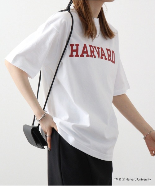 HARVARD（ハーバード）の「HARVARD OPEN END RUGGED T-SHIRT（Tシャツ/カットソー・メンズ・ホワイト・M/XL/L）」の12枚目の写真