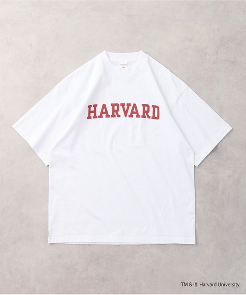 HARVARD（ハーバード）の「HARVARD OPEN END RUGGED T-SHIRT（Tシャツ/カットソー・メンズ・ホワイト・M/XL/L）」の16枚目の写真