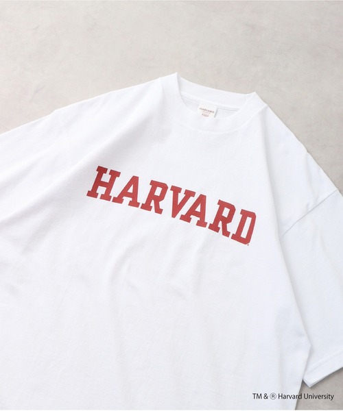 HARVARD（ハーバード）の「HARVARD OPEN END RUGGED T-SHIRT（Tシャツ/カットソー・メンズ・ホワイト・M/XL/L）」の15枚目の写真