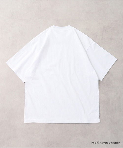 HARVARD（ハーバード）の「HARVARD OPEN END RUGGED T-SHIRT（Tシャツ/カットソー・メンズ・ホワイト・M/XL/L）」の17枚目の写真